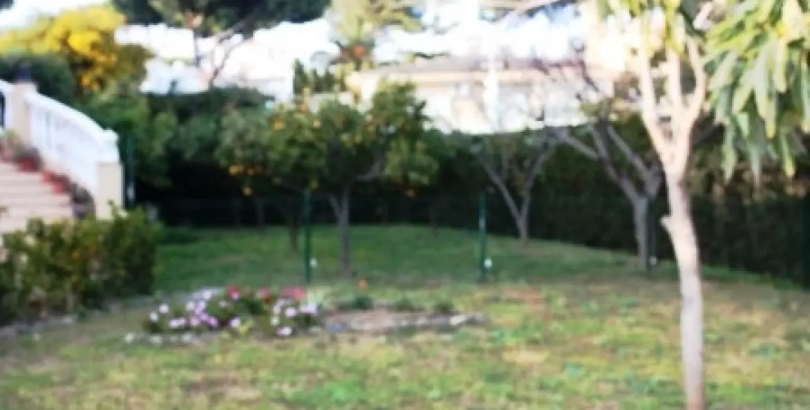 Краткосрочная аренда  отдельно стоящей виллы в Calahonda 6