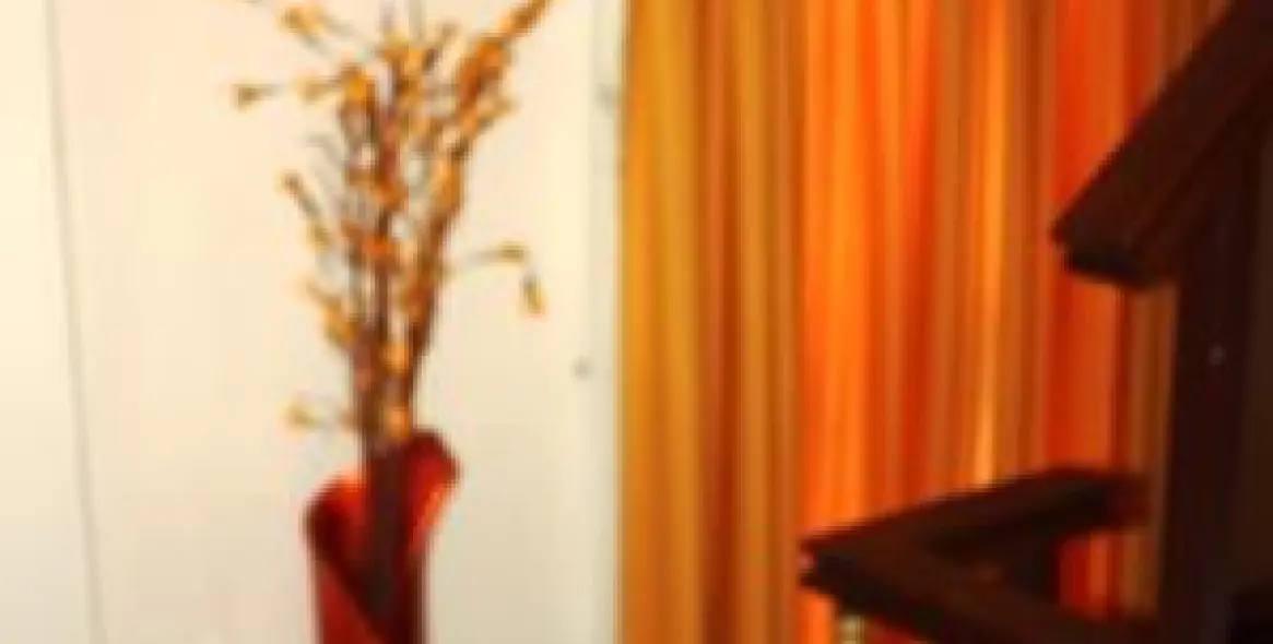 Краткосрочная аренда  отдельно стоящей виллы в Calahonda 10