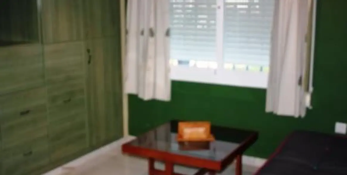 Short-term rent of detached villa in Calahonda 22