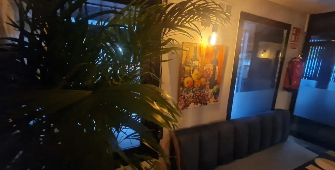 Long-term rent of restaurant in San Pedro de Alcántara 8