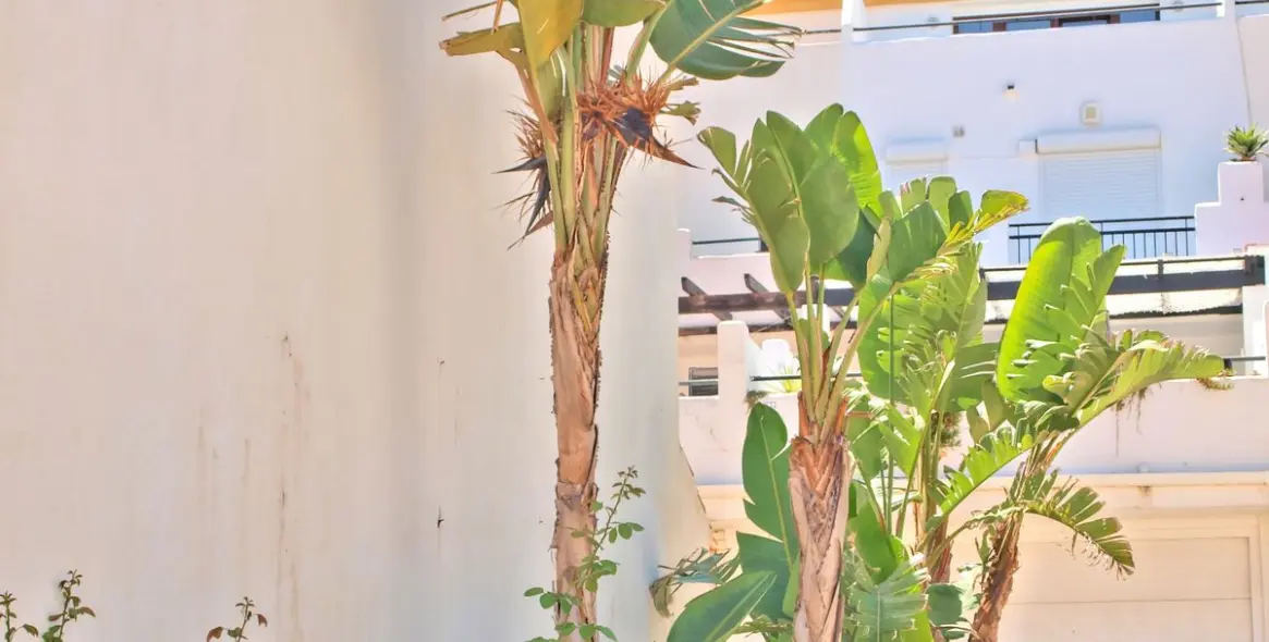 Долгосрочная аренда таунхауса в Estepona 25