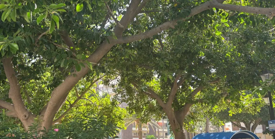 Alquiler a largo plazo de apartamento en planta media en Fuengirola 80