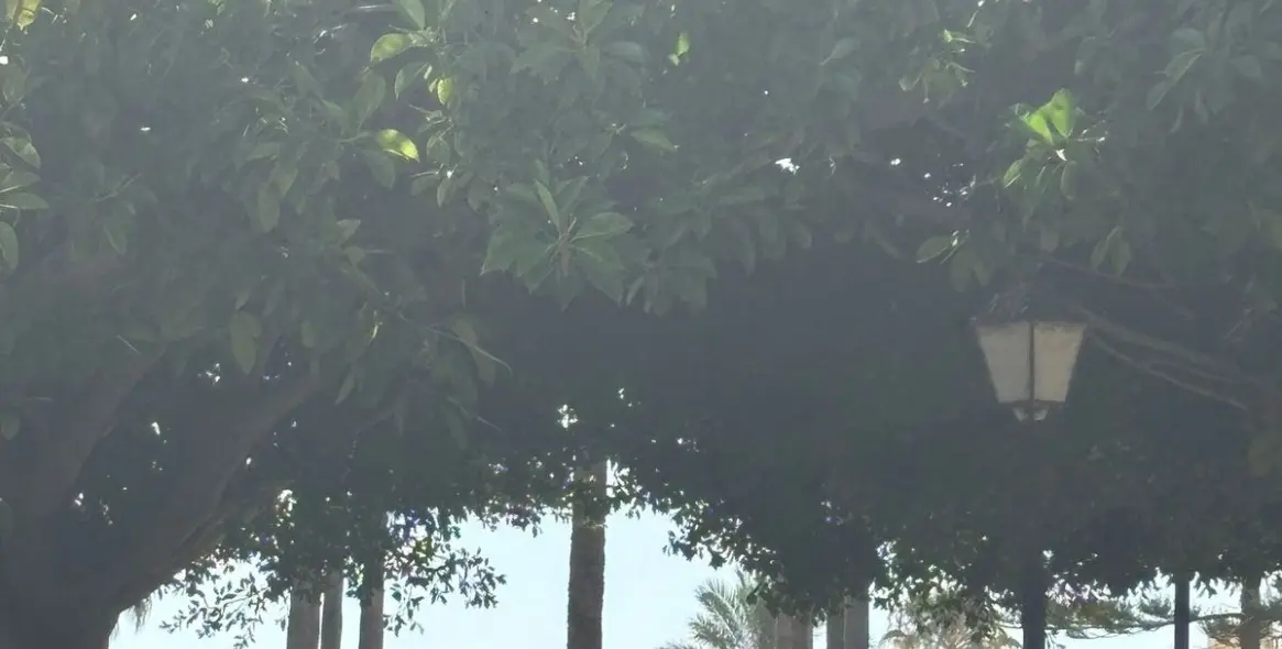 Alquiler a largo plazo de apartamento en planta media en Fuengirola 82
