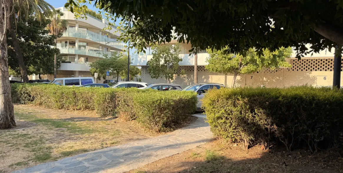 Long-term rent of commercial premises in San Pedro de Alcántara 8