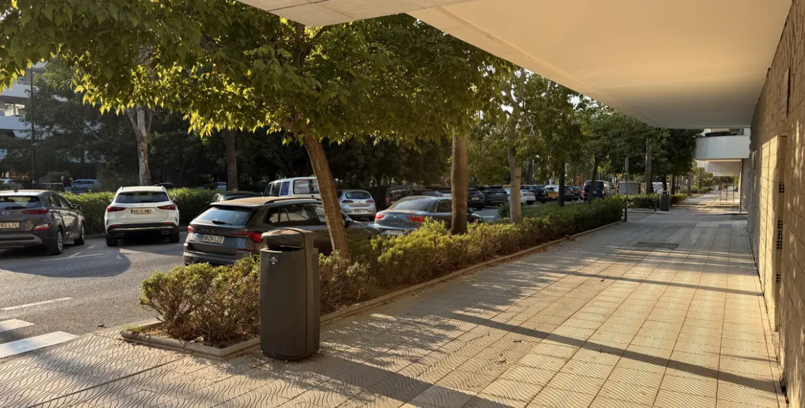 Long-term rent of commercial premises in San Pedro de Alcántara 15