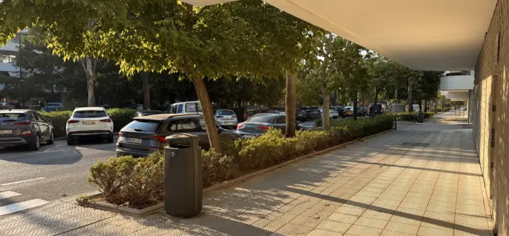 Long-term rent of commercial premises in San Pedro de Alcántara 2