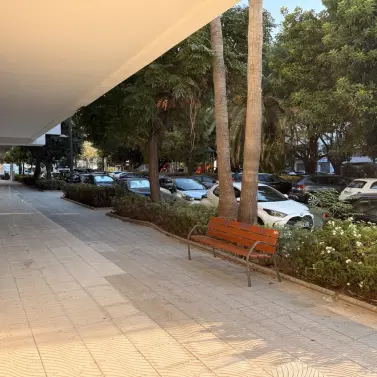 Long-term rent of commercial premises in San Pedro de Alcántara