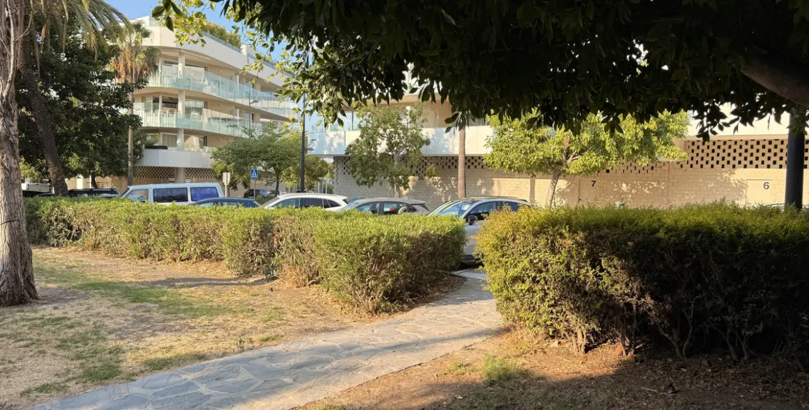 Long-term rent of commercial premises in San Pedro de Alcántara 10