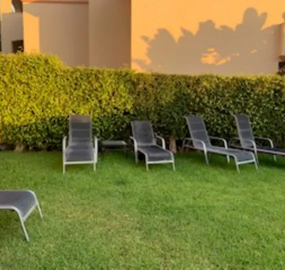 Ground floor apartment R4854568