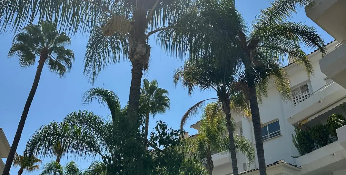 Долгосрочная аренда апартаментов на среднем этаже в Guadalmina Baja 32