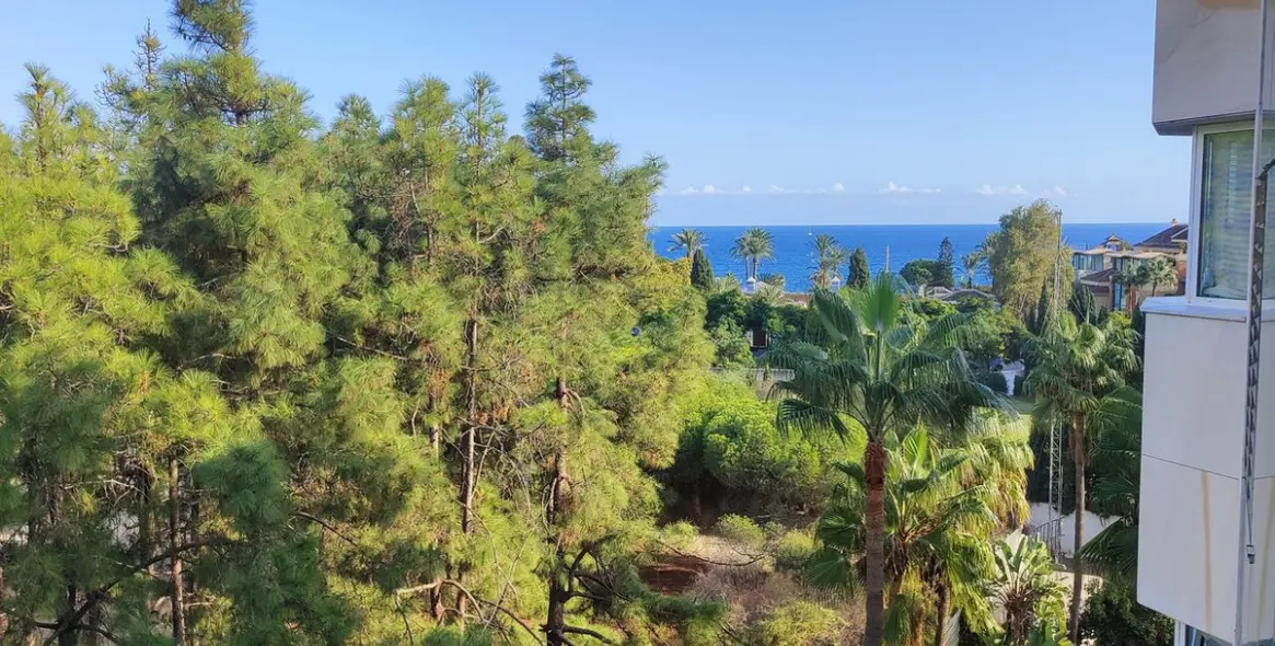 Долгосрочная аренда апартаментов на среднем этаже в Marbella 23