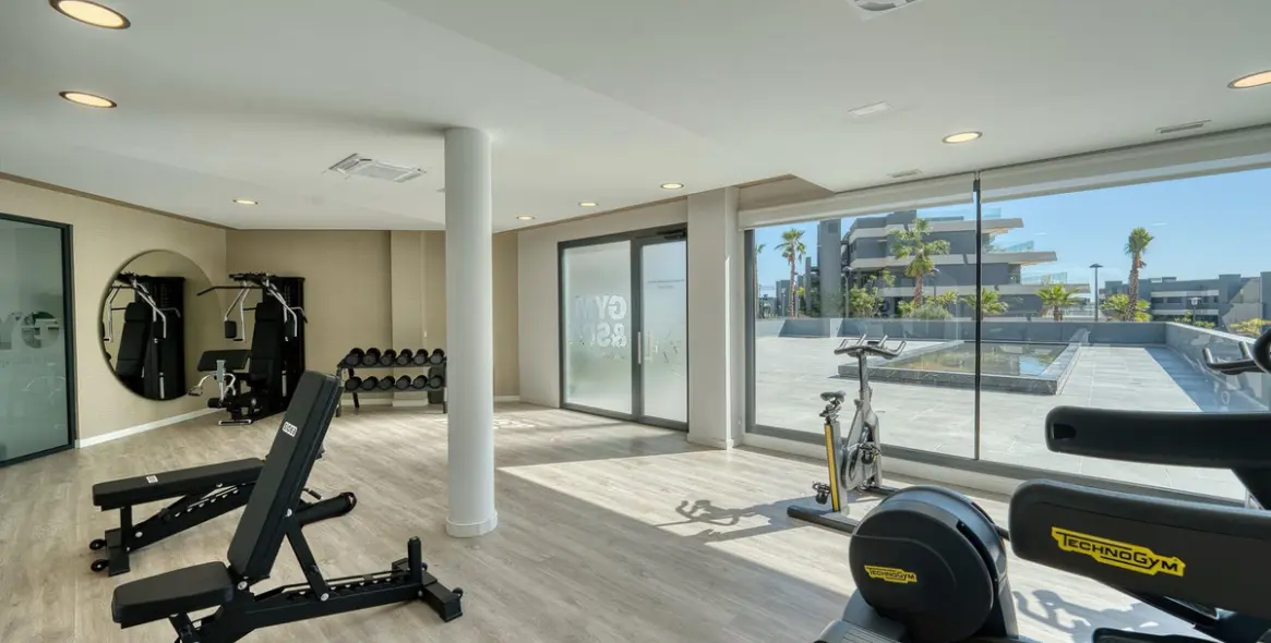 Long-term rent of penthouse duplex in Selwo 19