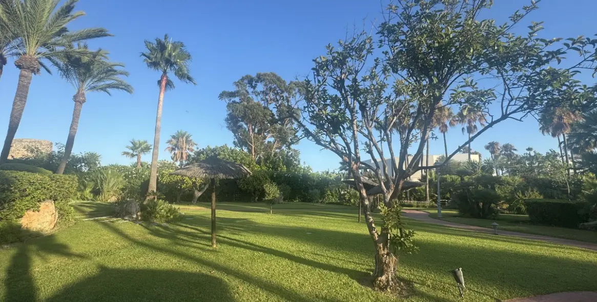 Долгосрочная аренда таунхауса в New Golden Mile 24