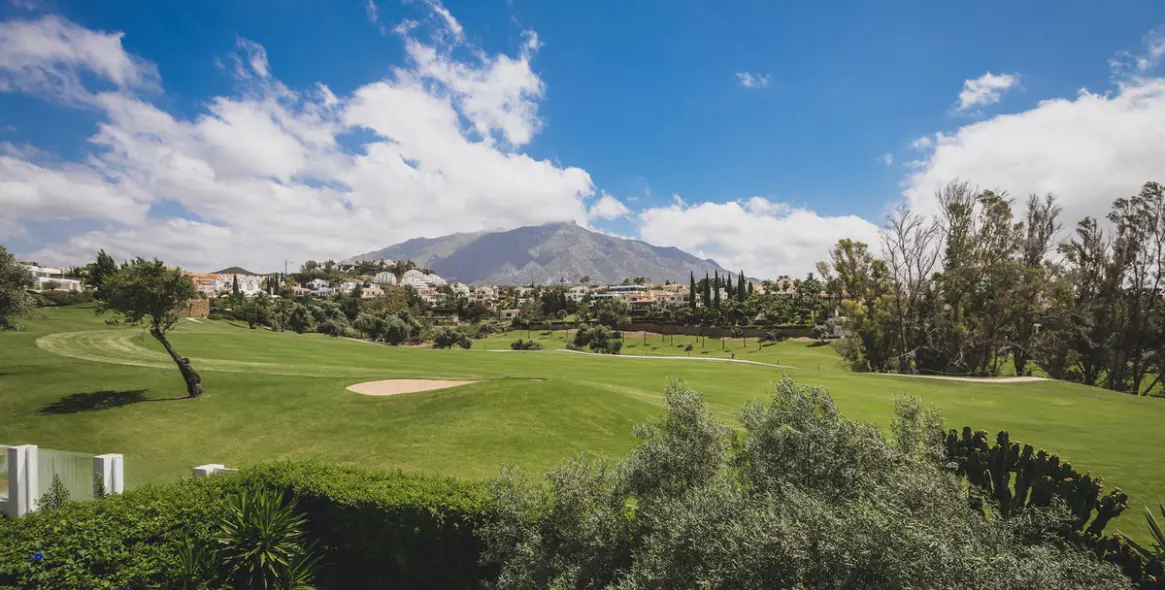Long-term rent of detached villa in Nueva Andalucía 30