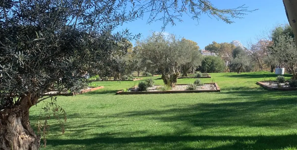 Краткосрочная аренда  отдельно стоящей виллы в Benahavís 33