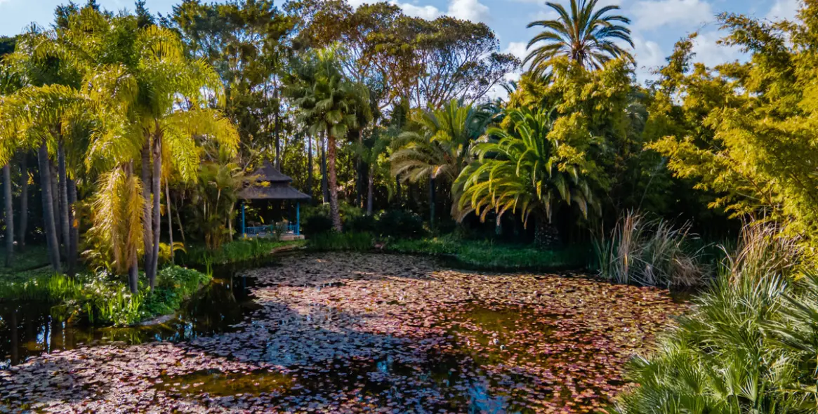 Short-term rent of detached villa in The Golden Mile 7