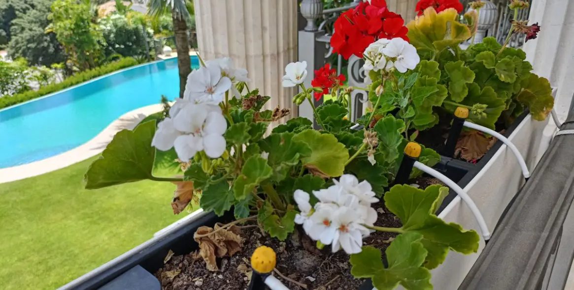 Long-term rent of detached villa in Marbella 5