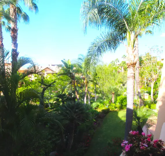 Short-term rent of middle floor apartment in Sierra Blanca