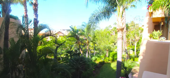 Short-term rent of middle floor apartment in Sierra Blanca 0