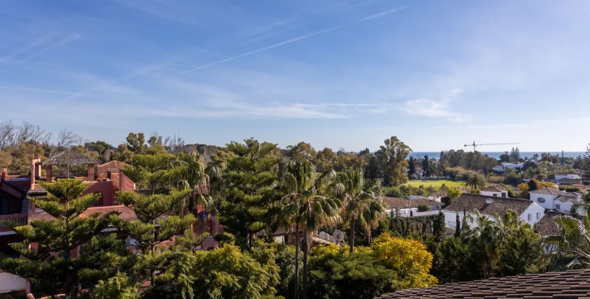 Short-term rent of penthouse in Guadalmina Baja 58