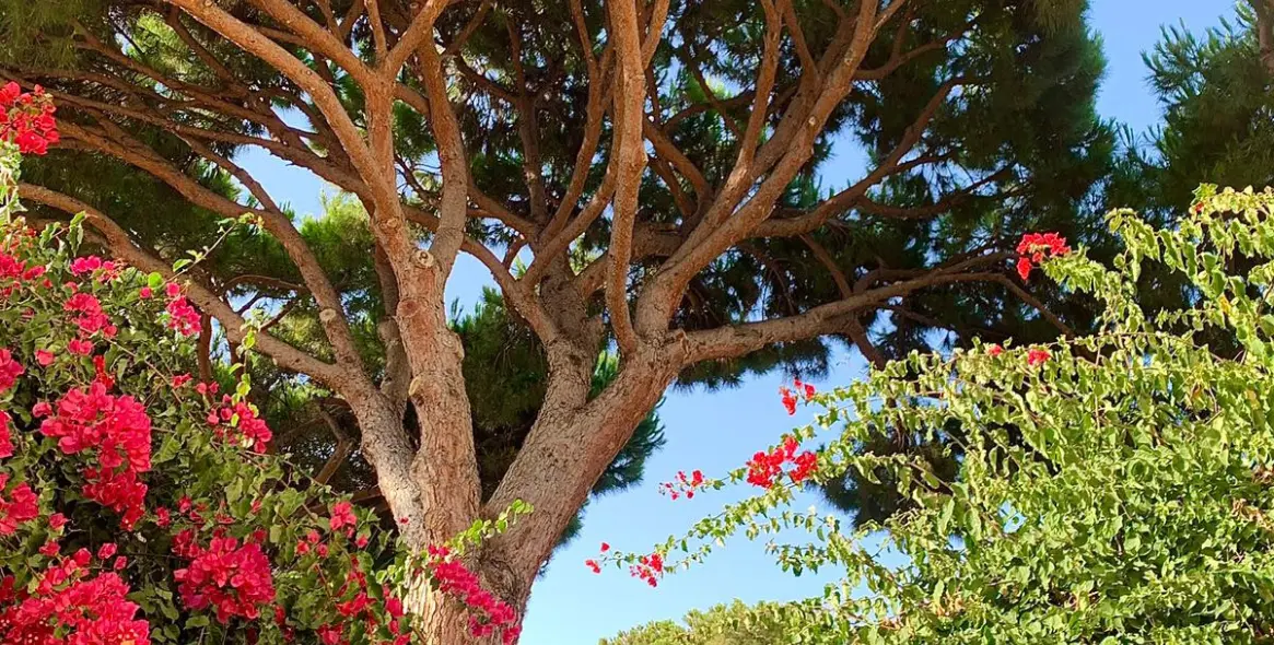 Краткосрочная аренда  отдельно стоящей виллы в Calahonda 28