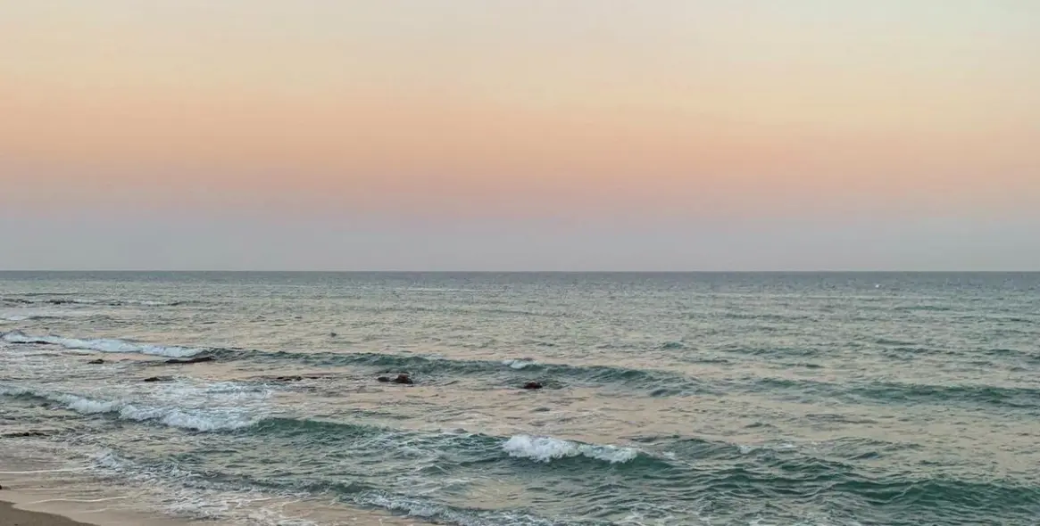 Краткосрочная аренда  отдельно стоящей виллы в Calahonda 37