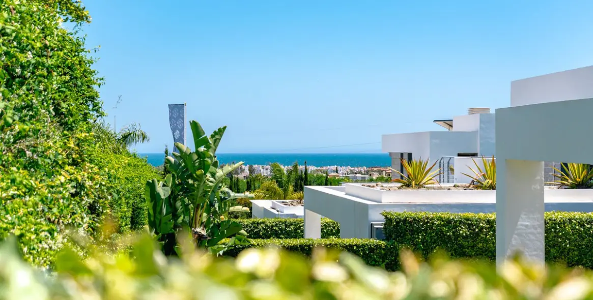 Long-term rent of detached villa in Cancelada 19