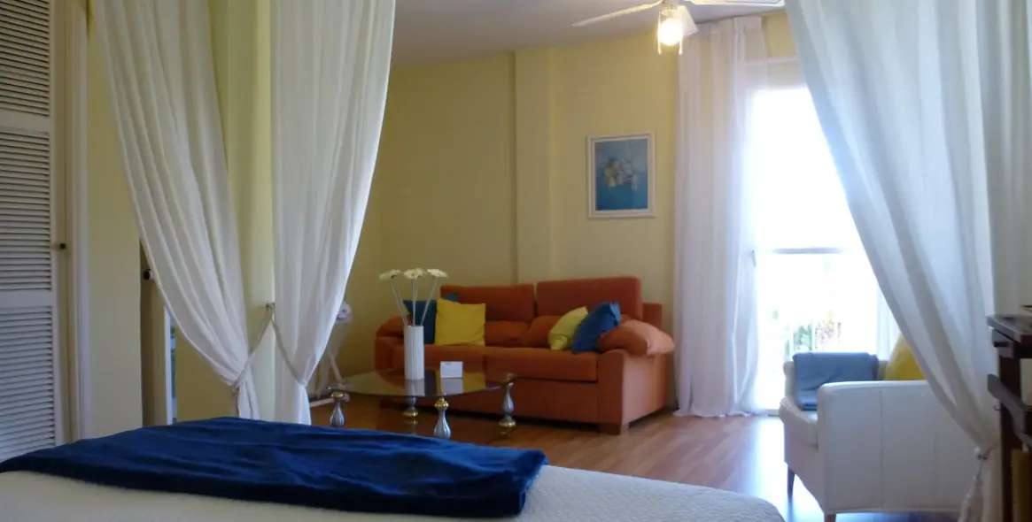Short-term rent of detached villa in Nueva Andalucía 13
