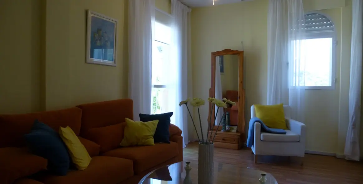Short-term rent of detached villa in Nueva Andalucía 14