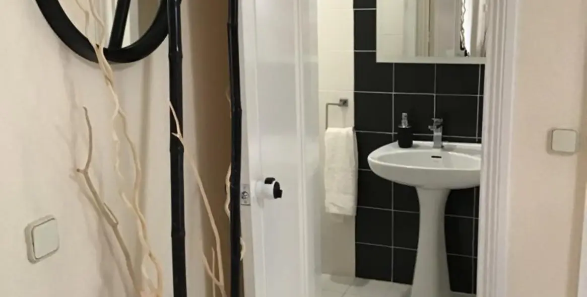 Short-term rent of detached villa in Nueva Andalucía 22