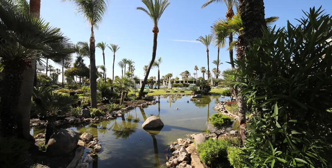 Short-term rent of middle floor apartment in Nueva Andalucía 33