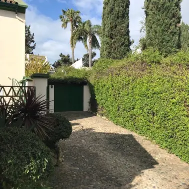 Short-term rent of detached villa in Guadalmina Baja