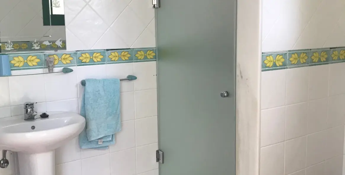 Short-term rent of detached villa in Guadalmina Baja 19