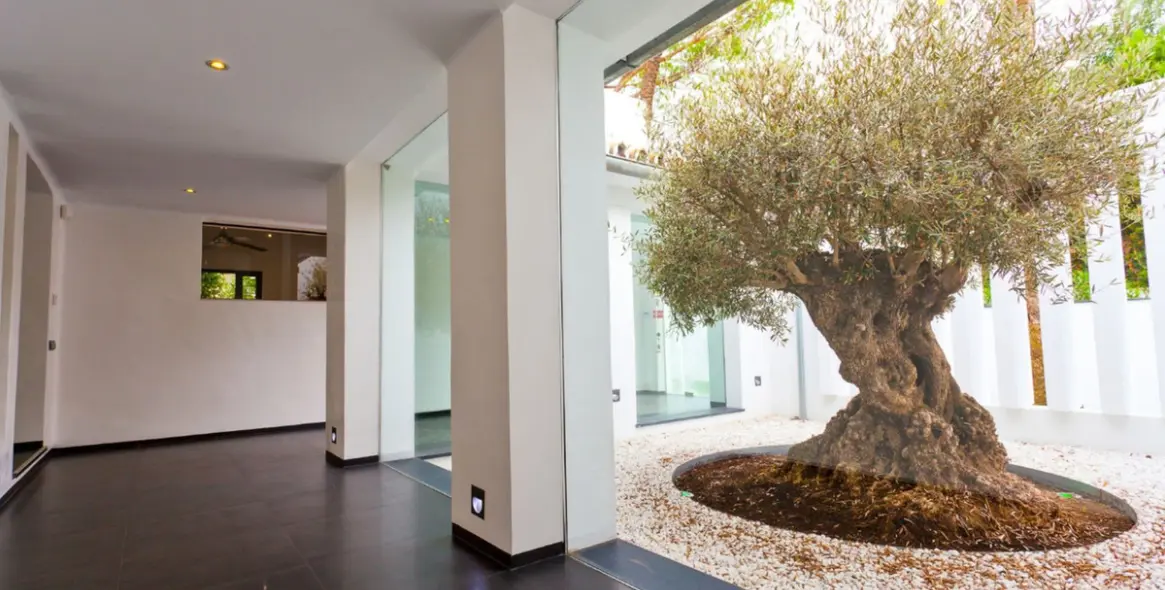 Short-term rent of detached villa in Nueva Andalucía 18