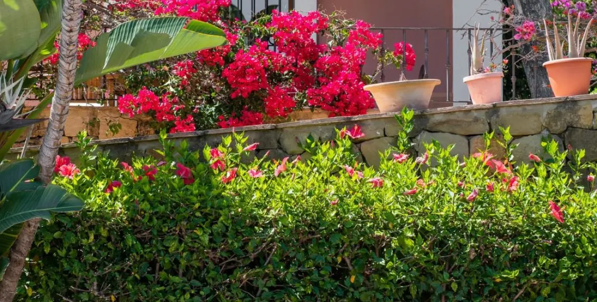 Краткосрочная аренда  отдельно стоящей виллы в El Paraiso 17