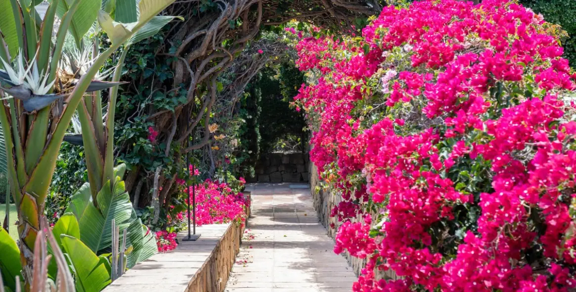 Краткосрочная аренда  отдельно стоящей виллы в El Paraiso 40