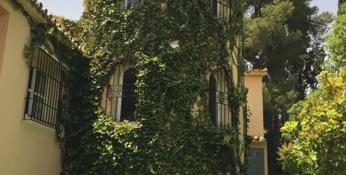 Alquiler a largo plazo de villa independiente en San Pedro de Alcántara 2