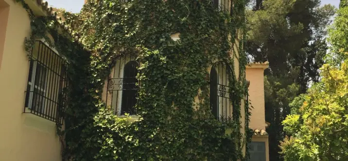 Long-term rent of detached villa in San Pedro de Alcántara 1