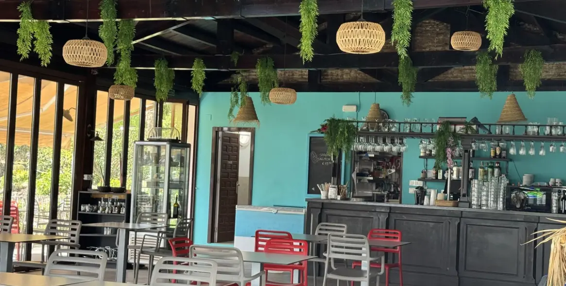 Long-term rent of ground floor apartment in Marbella 31