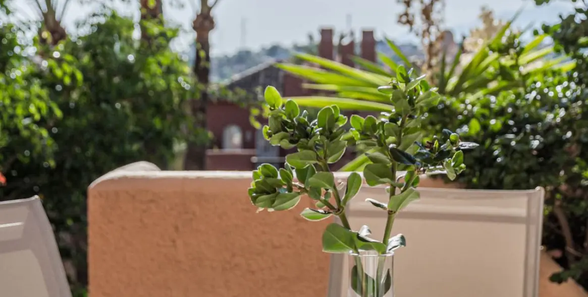 Long-term rent of townhouse in Nueva Andalucía 44