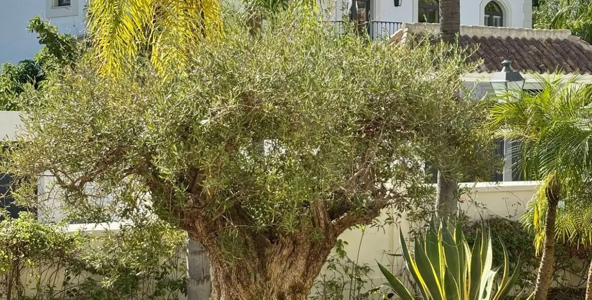 Долгосрочная аренда  отдельно стоящей виллы в La Quinta 23