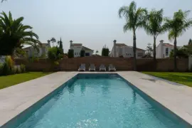 Image 4 thumb