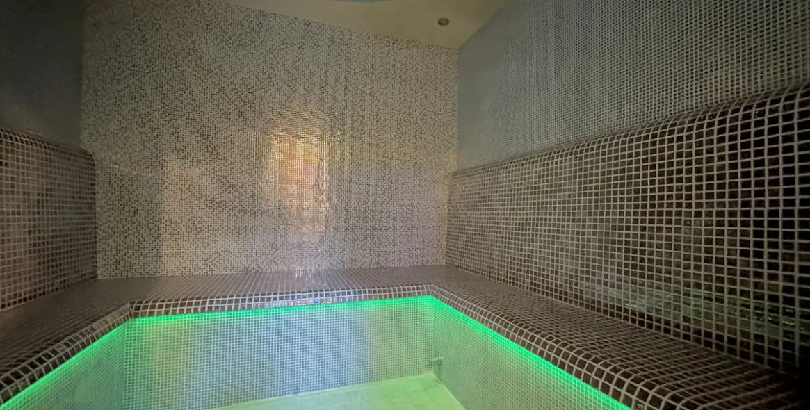 Long-term rent of detached villa in Elviria 24