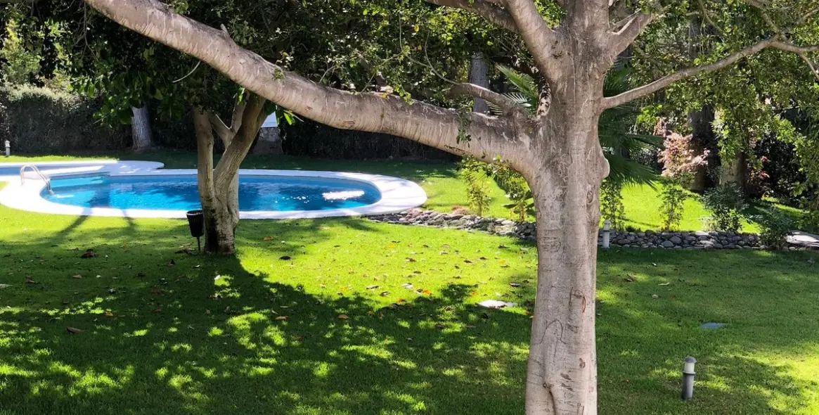 Long-term rent of detached villa in Nueva Andalucía 28