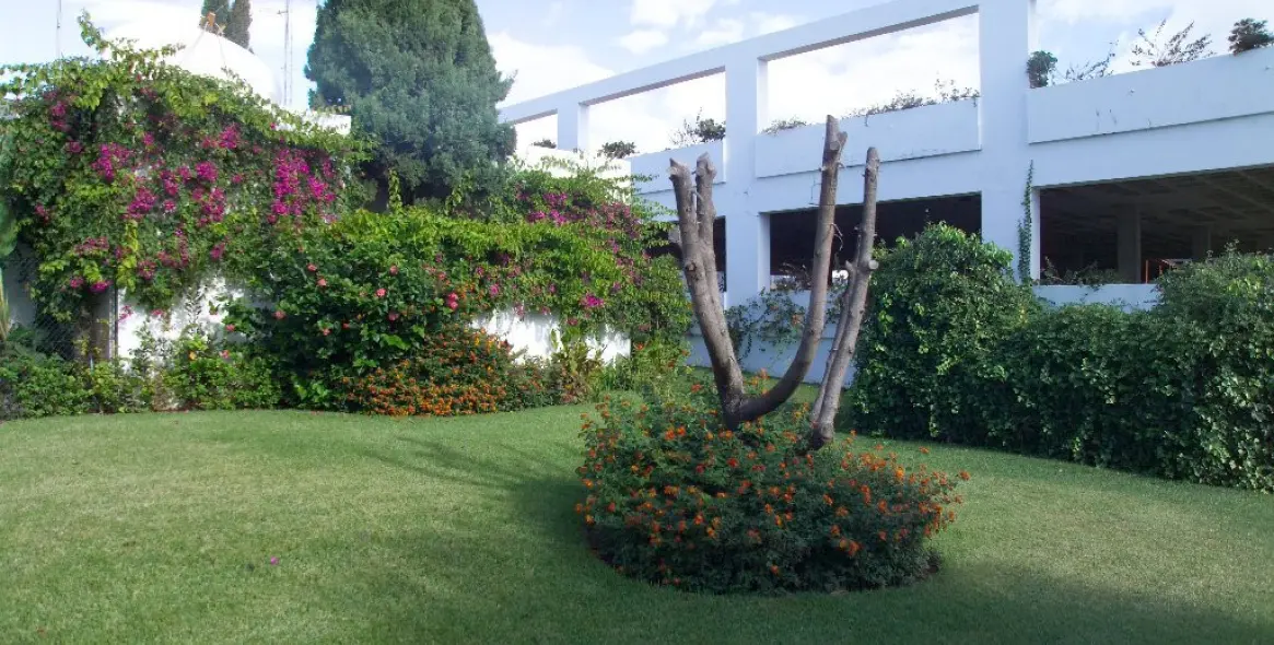 Long-term rent of business in Estepona 3