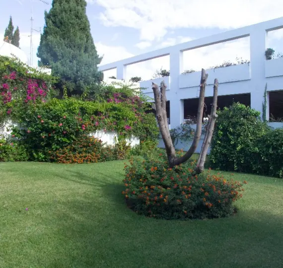 Long-term rent of business in Estepona