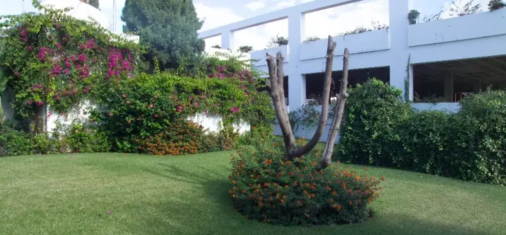 Long-term rent of business in Estepona 2