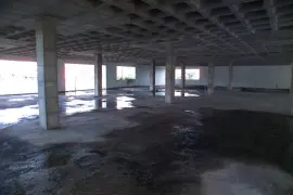 Image 4 thumb