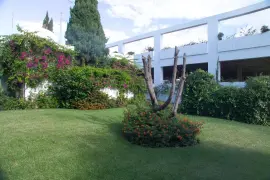 Image 7 thumb