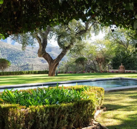 Long-term rent of detached villa in El Madroñal